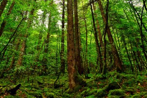 世界保龄球高校联赛秋训营教练点评视频发布，世界保龄球比赛冠军