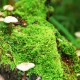 世界保龄球场馆夜场营销指南发布：提升复玩率与留存，保龄球馆挣钱吗