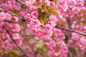 世界举重康复在线课堂季度评估与优秀课堂推介第7期发布，2021年世界举重比赛视频