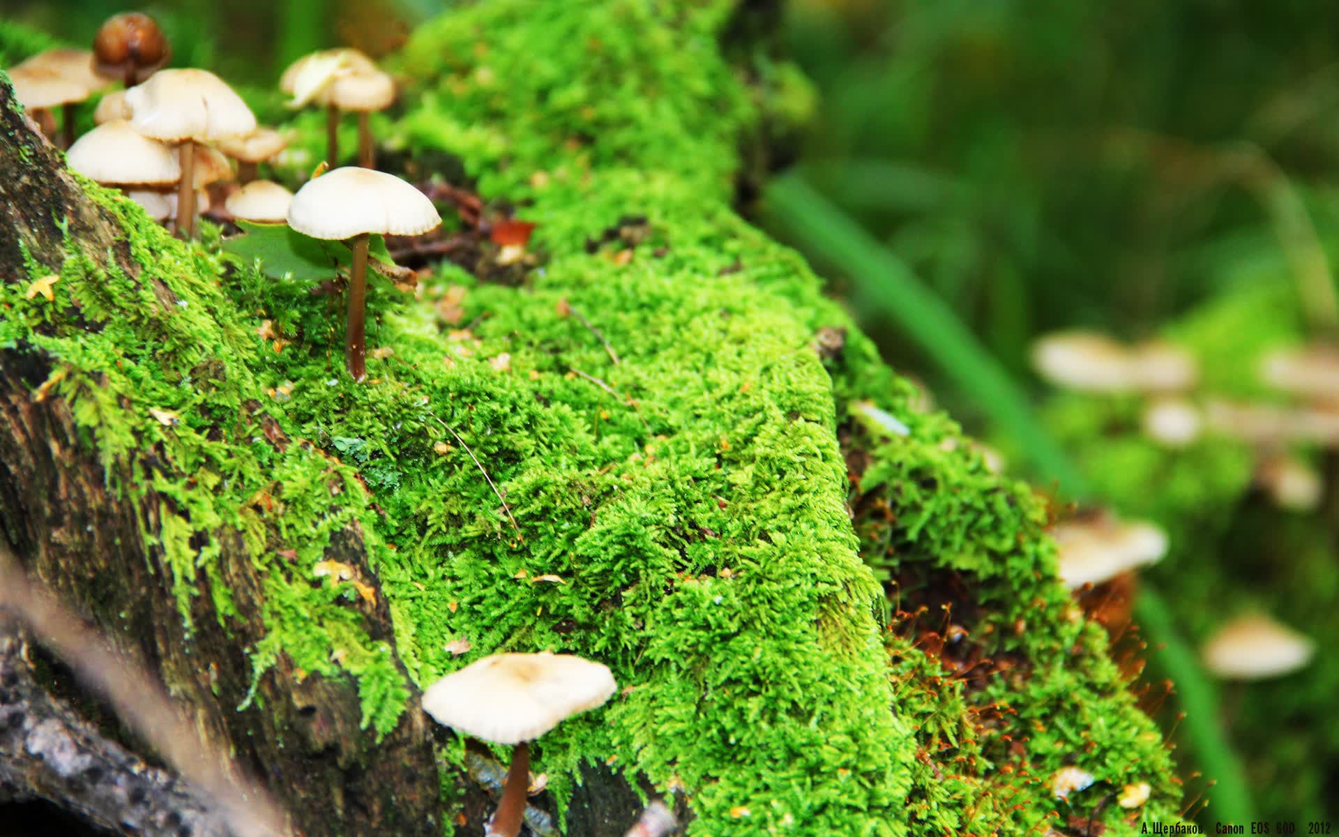 世界保龄球场馆夜场营销指南发布:提升复玩率与留存,保龄球馆挣钱吗